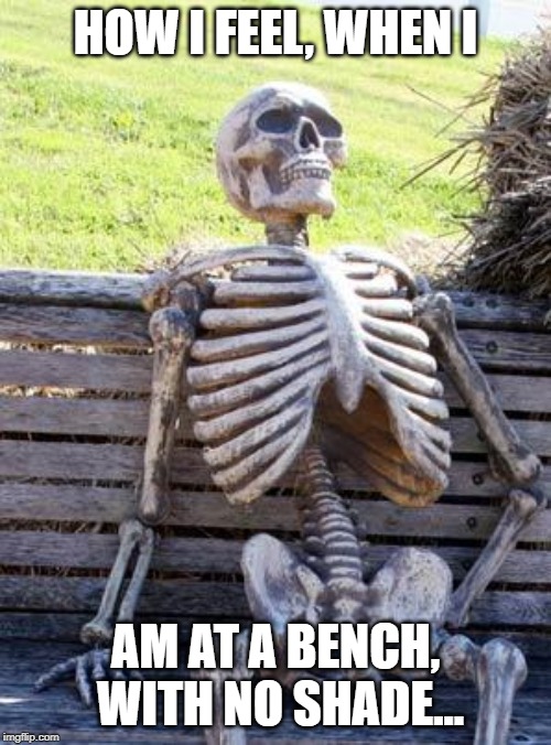 100 degrees F... | HOW I FEEL, WHEN I; AM AT A BENCH, WITH NO SHADE... | image tagged in memes,waiting skeleton | made w/ Imgflip meme maker