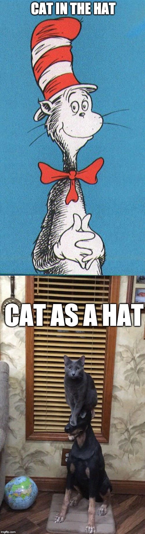 CAT IN THE HAT; CAT AS A HAT | image tagged in cat in the hat | made w/ Imgflip meme maker