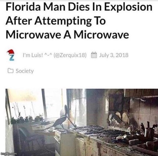 Sounds Fun, | image tagged in florida man,microwave,explosion,memes,fun | made w/ Imgflip meme maker