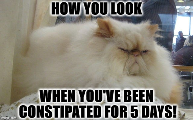 HOW YOU LOOK | HOW YOU LOOK; WHEN YOU'VE BEEN CONSTIPATED FOR 5 DAYS! | image tagged in how you look | made w/ Imgflip meme maker