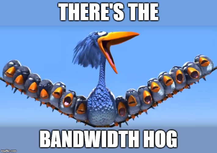 THERE'S THE BANDWIDTH HOG | made w/ Imgflip meme maker