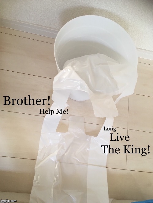 Long Live The King | image tagged in funny,trash | made w/ Imgflip meme maker