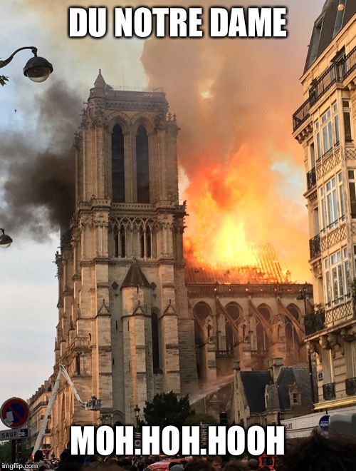 Notre Dame fire | DU NOTRE DAME; MOH.HOH.HOOH | image tagged in notre dame fire | made w/ Imgflip meme maker