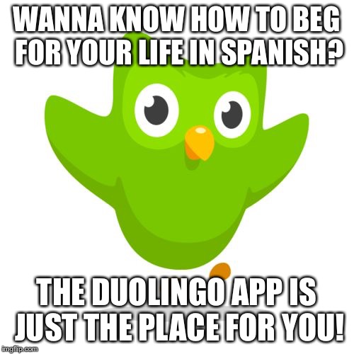 The Duolingo App's Quite Aggressive, Don't You Think? | WANNA KNOW HOW TO BEG FOR YOUR LIFE IN SPANISH? THE DUOLINGO APP IS JUST THE PLACE FOR YOU! | image tagged in things duolingo teaches you | made w/ Imgflip meme maker