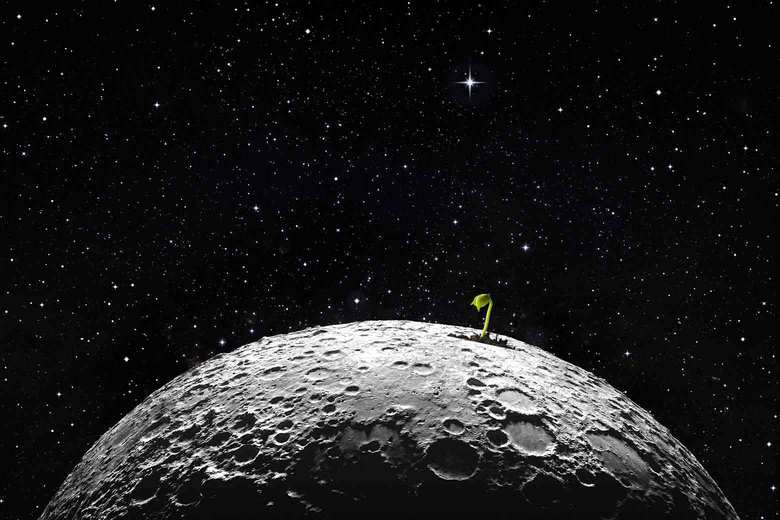 Plant on the moon Blank Meme Template