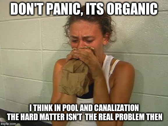 Don't Panic  | DON'T PANIC, ITS ORGANIC I THINK IN POOL AND CANALIZATION THE HARD MATTER ISN'T  THE REAL PROBLEM THEN | image tagged in don't panic | made w/ Imgflip meme maker