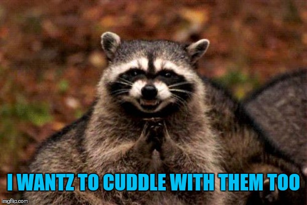Evil Plotting Raccoon Meme | I WANTZ TO CUDDLE WITH THEM TOO | image tagged in memes,evil plotting raccoon | made w/ Imgflip meme maker