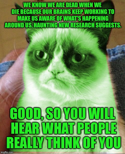 Radioactive Grumpy | WE KNOW WE ARE DEAD WHEN WE DIE BECAUSE OUR BRAINS KEEP WORKING TO MAKE US AWARE OF WHAT'S HAPPENING AROUND US, HAUNTING NEW RESEARCH SUGGESTS. GOOD, SO YOU WILL HEAR WHAT PEOPLE REALLY THINK OF YOU | image tagged in radioactive grumpy | made w/ Imgflip meme maker
