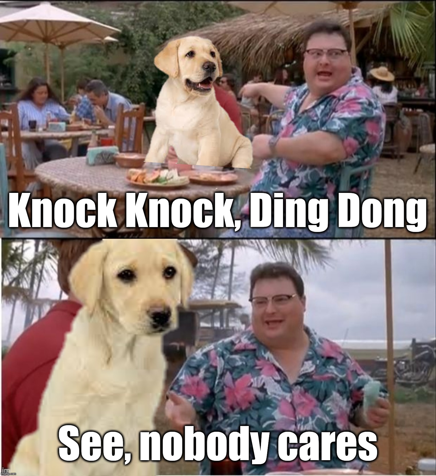 You can try to explain it as many times as you want | Knock Knock, Ding Dong; See, nobody cares | image tagged in see nobody cares,funny memes,funny dogs,dogs,funny | made w/ Imgflip meme maker