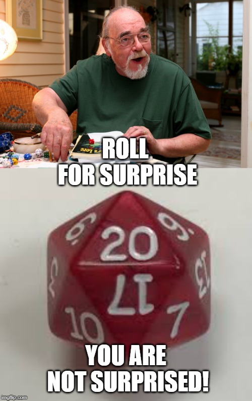 ROLL FOR SURPRISE YOU ARE NOT SURPRISED! | image tagged in dd man | made w/ Imgflip meme maker