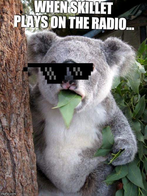 Surprised Koala Meme | WHEN SKILLET PLAYS ON THE RADIO... | image tagged in memes,surprised koala | made w/ Imgflip meme maker