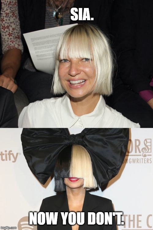 SIA. NOW YOU DON'T. | image tagged in singer | made w/ Imgflip meme maker
