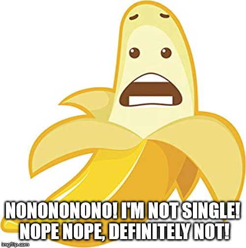 NONONONONO! I'M NOT SINGLE! NOPE NOPE, DEFINITELY NOT! | made w/ Imgflip meme maker