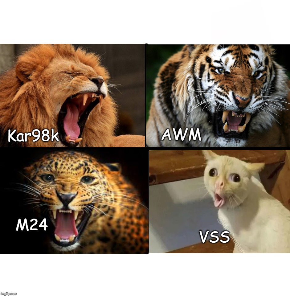 Blank Starter Pack Meme | AWM; Kar98k; M24; VSS | image tagged in memes,blank starter pack | made w/ Imgflip meme maker
