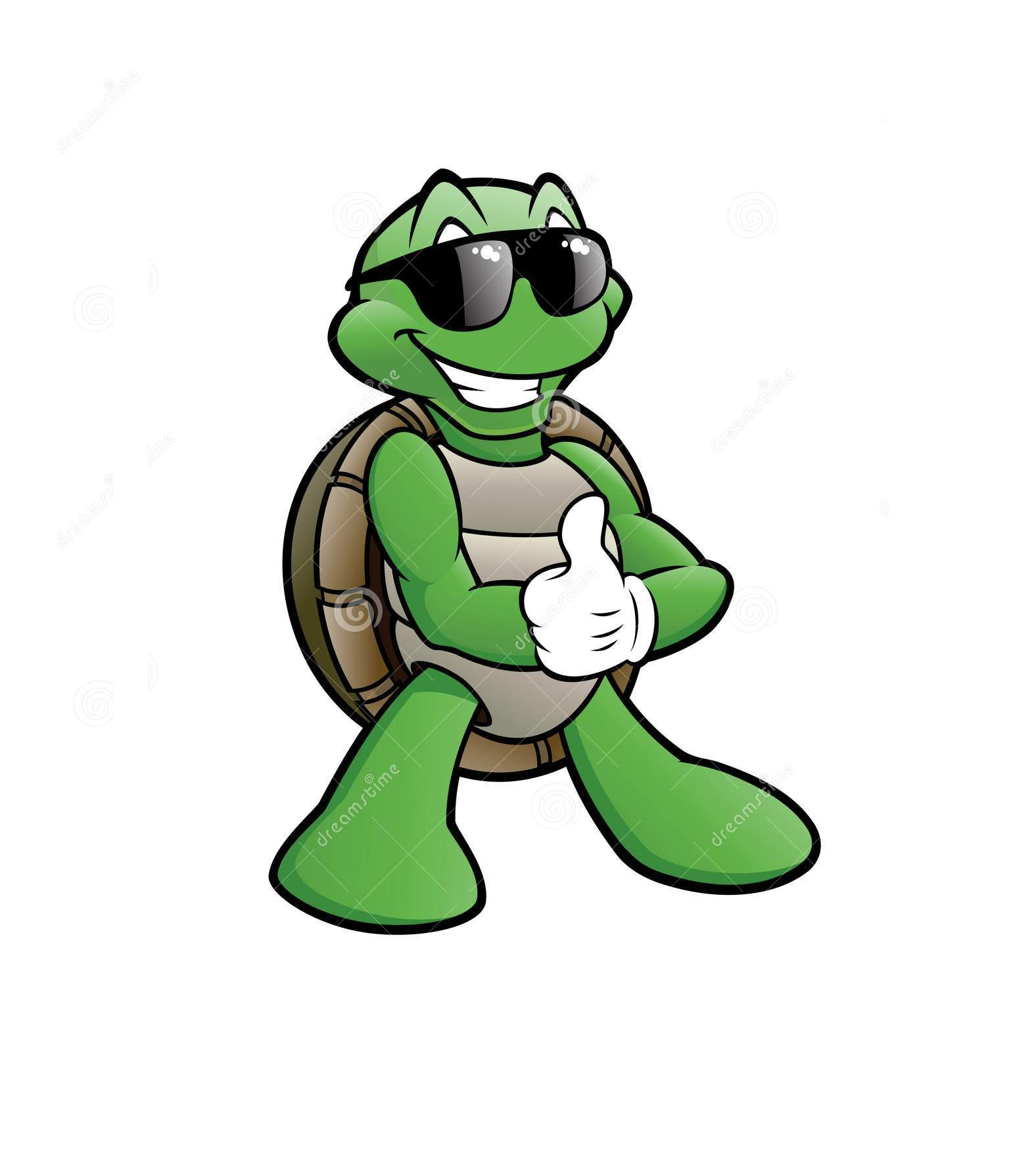 Safety Turtle Blank Meme Template