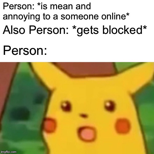 It honestly amazes me how some people get surprised by this | Person: *is mean and annoying to a someone online*; Also Person: *gets blocked*; Person: | image tagged in memes,surprised pikachu,blocked,online,mean | made w/ Imgflip meme maker