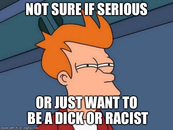 Futurama Fry Meme | NOT SURE IF SERIOUS; OR JUST WANT TO BE A DICK OR RACIST | image tagged in memes,futurama fry | made w/ Imgflip meme maker