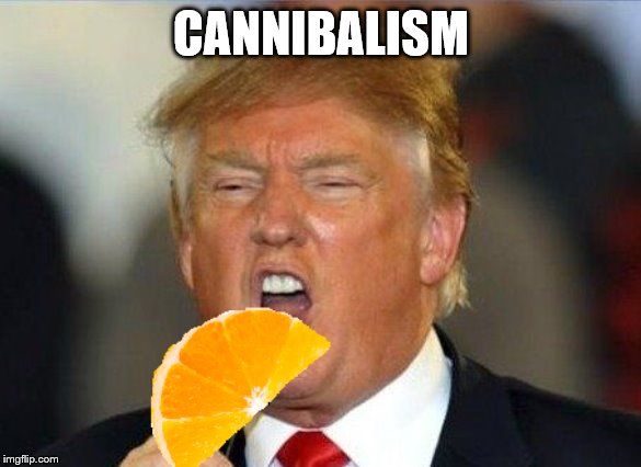 The Very Definition | CANNIBALISM | image tagged in memes,funny memes,donald trump,cannibalism,oranges | made w/ Imgflip meme maker