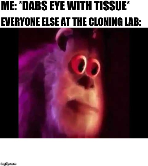 Sully Groan | ME: *DABS EYE WITH TISSUE*; EVERYONE ELSE AT THE CLONING LAB: | image tagged in sully groan | made w/ Imgflip meme maker