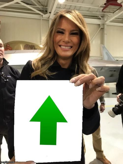 Melania Trump blank sheet | image tagged in melania trump blank sheet | made w/ Imgflip meme maker