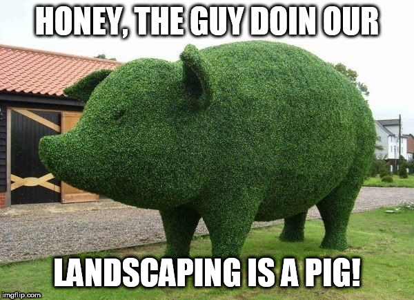 HE'S   A  PIG! | HONEY, THE GUY DOIN OUR; LANDSCAPING IS A PIG! | image tagged in definitely a pig for sure,thats what he is a pig,the guy pig | made w/ Imgflip meme maker