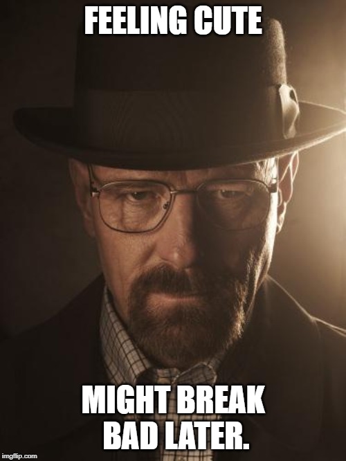 Walter White | FEELING CUTE; MIGHT BREAK BAD LATER. | image tagged in walter white | made w/ Imgflip meme maker
