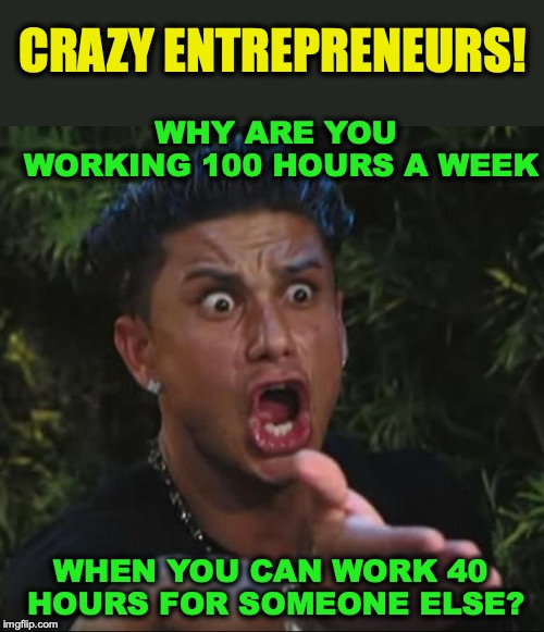 DJ Pauly D | CRAZY ENTREPRENEURS! WHY ARE YOU WORKING 100 HOURS A WEEK; WHEN YOU CAN WORK 40 HOURS FOR SOMEONE ELSE? | image tagged in memes,dj pauly d,working,entrepreneur,business,capitalism | made w/ Imgflip meme maker