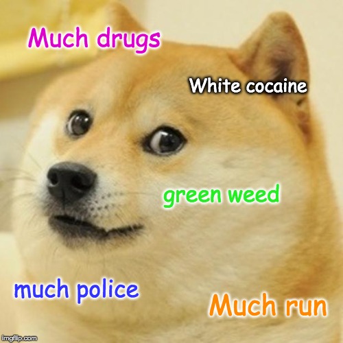 Doge | Much drugs; White cocaine; green weed; much police; Much run | image tagged in memes,doge | made w/ Imgflip meme maker