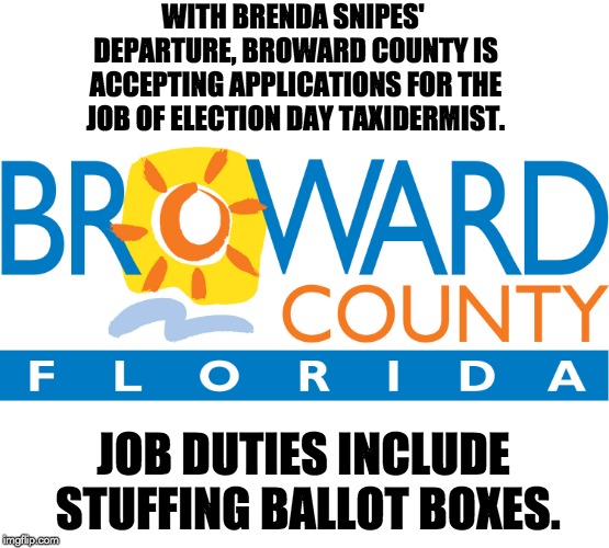 Corrupt Florida Elections | WITH BRENDA SNIPES' DEPARTURE, BROWARD COUNTY IS ACCEPTING APPLICATIONS FOR THE JOB OF ELECTION DAY TAXIDERMIST. JOB DUTIES INCLUDE STUFFING BALLOT BOXES. | image tagged in election | made w/ Imgflip meme maker