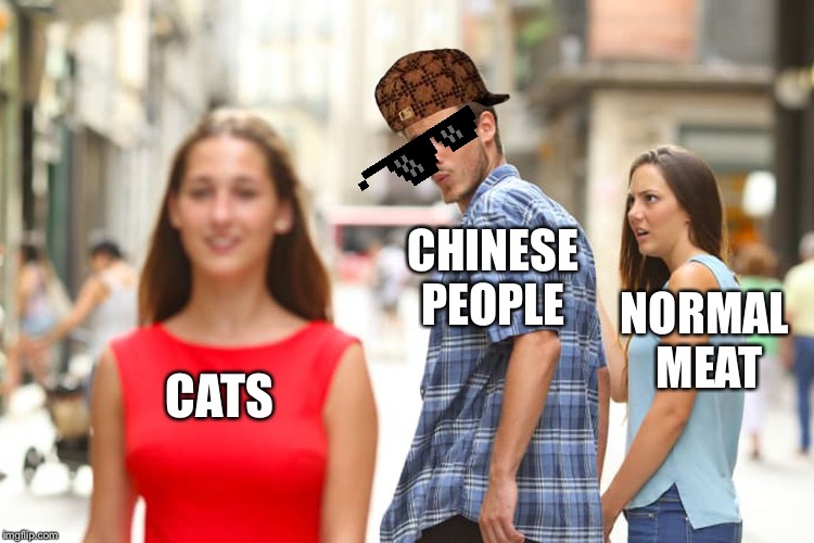 Distracted Boyfriend | CHINESE PEOPLE; NORMAL MEAT; CATS | image tagged in memes,distracted boyfriend | made w/ Imgflip meme maker