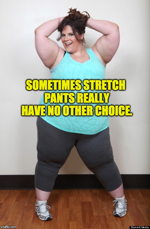 Fat girl | SOMETIMES STRETCH PANTS REALLY HAVE NO OTHER CHOICE. | image tagged in fat girl | made w/ Imgflip meme maker