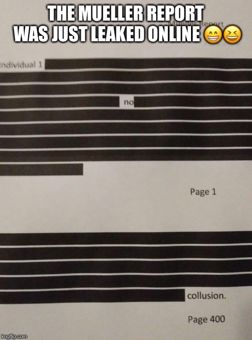 The Mueller Report Leaked | THE MUELLER REPORT WAS JUST LEAKED ONLINE 😁😆 | image tagged in mueller report,robert mueller,william barr,donald trump,trump russia collusion,lock him up | made w/ Imgflip meme maker