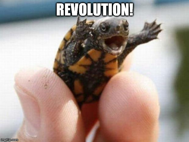 happy baby turtle | REVOLUTION! | image tagged in happy baby turtle | made w/ Imgflip meme maker