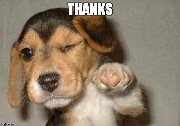 Winking Dog | THANKS | image tagged in winking dog | made w/ Imgflip meme maker