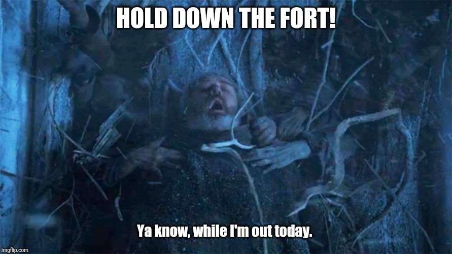 Hold Door Hodor | HOLD DOWN THE FORT! Ya know, while I'm out today. | image tagged in hold door hodor | made w/ Imgflip meme maker