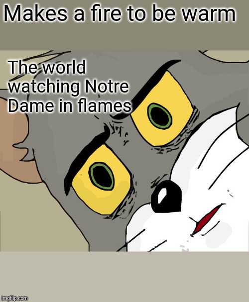 Unsettled Tom | Makes a fire to be warm; The world watching Notre Dame in flames | image tagged in memes,unsettled tom | made w/ Imgflip meme maker