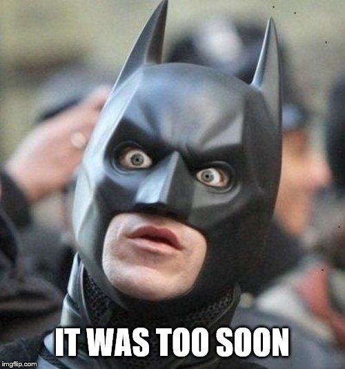 Shocked Batman | IT WAS TOO SOON | image tagged in shocked batman | made w/ Imgflip meme maker