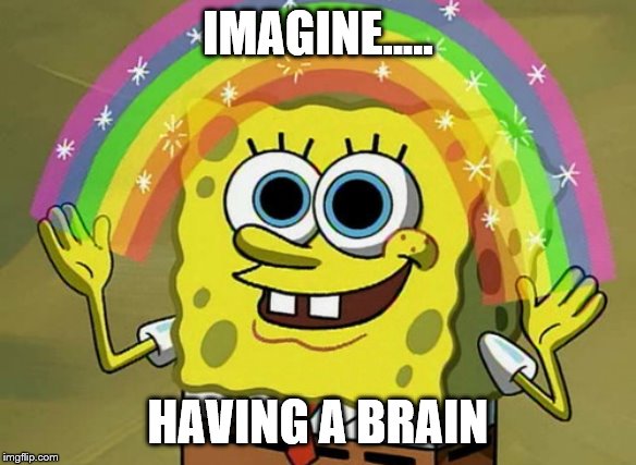 Imagination Spongebob Meme | IMAGINE..... HAVING A BRAIN | image tagged in memes,imagination spongebob | made w/ Imgflip meme maker