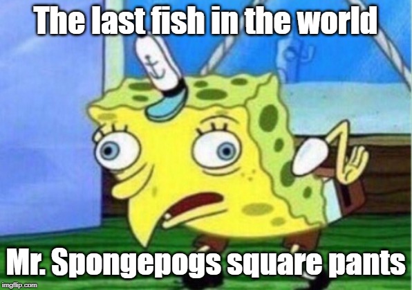 Mocking Spongebob | The last fish in the world; Mr. Spongepogs square pants | image tagged in memes,mocking spongebob | made w/ Imgflip meme maker
