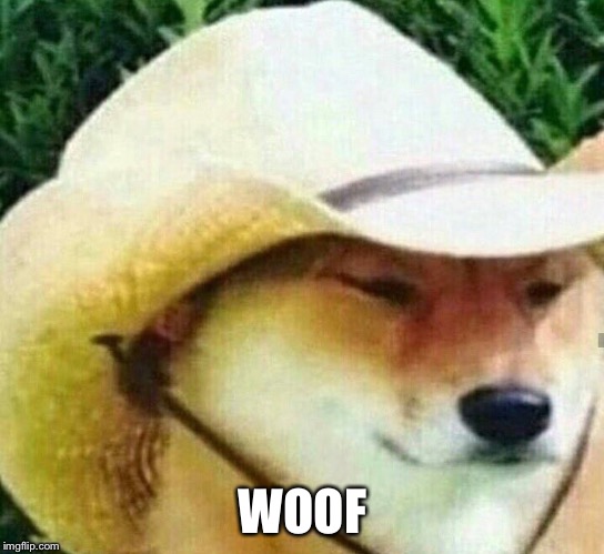 What in tarnation | WOOF | image tagged in what in tarnation | made w/ Imgflip meme maker