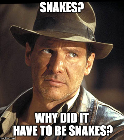 Indiana jones | SNAKES? WHY DID IT HAVE TO BE SNAKES? | image tagged in indiana jones | made w/ Imgflip meme maker