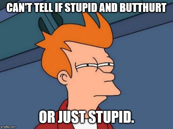 Futurama Fry Meme | CAN'T TELL IF STUPID AND BUTTHURT OR JUST STUPID. | image tagged in memes,futurama fry | made w/ Imgflip meme maker