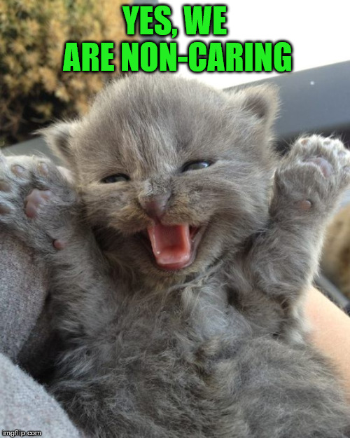 Cats do not seem to care most of the time. | YES, WE ARE NON-CARING | image tagged in yay kitty | made w/ Imgflip meme maker