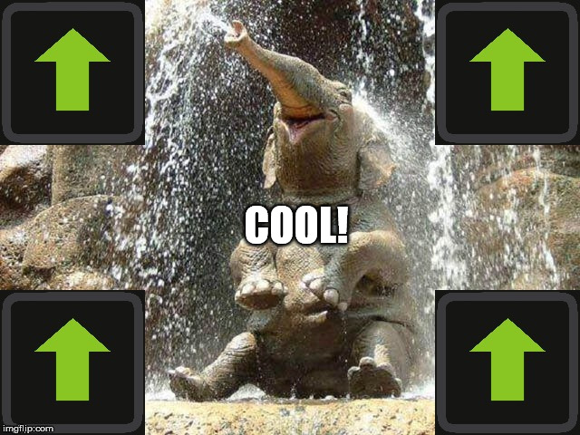 Upvote Elephant | COOL! | image tagged in upvote elephant | made w/ Imgflip meme maker