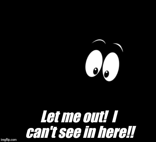 Let me out!  I can't see in here!! | made w/ Imgflip meme maker