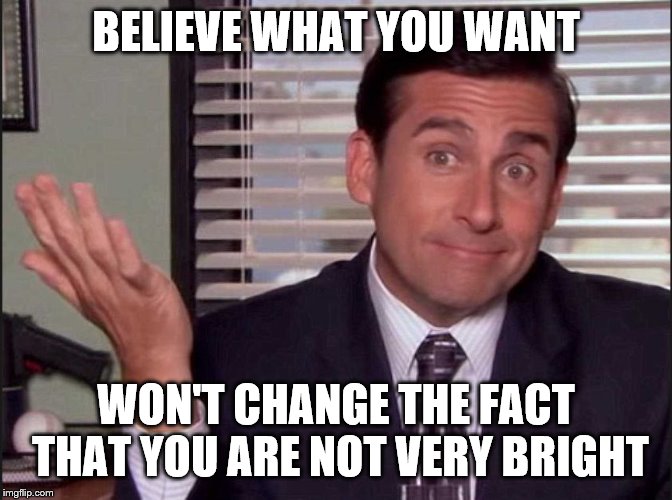 Michael Scott | BELIEVE WHAT YOU WANT WON'T CHANGE THE FACT THAT YOU ARE NOT VERY BRIGHT | image tagged in michael scott | made w/ Imgflip meme maker