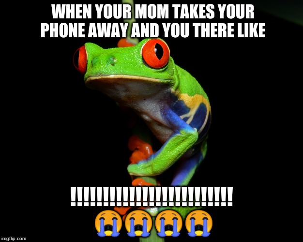 Phones | WHEN YOUR MOM TAKES YOUR PHONE AWAY AND YOU THERE LIKE; !!!!!!!!!!!!!!!!!!!!!!!!! 😭😭😭😭 | image tagged in funny | made w/ Imgflip meme maker