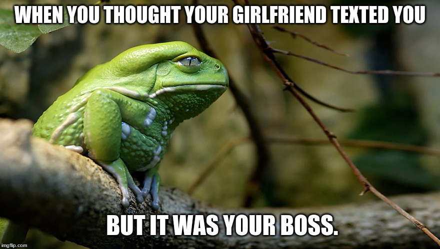 Sad | WHEN YOU THOUGHT YOUR GIRLFRIEND TEXTED YOU; BUT IT WAS YOUR BOSS. | image tagged in funny | made w/ Imgflip meme maker