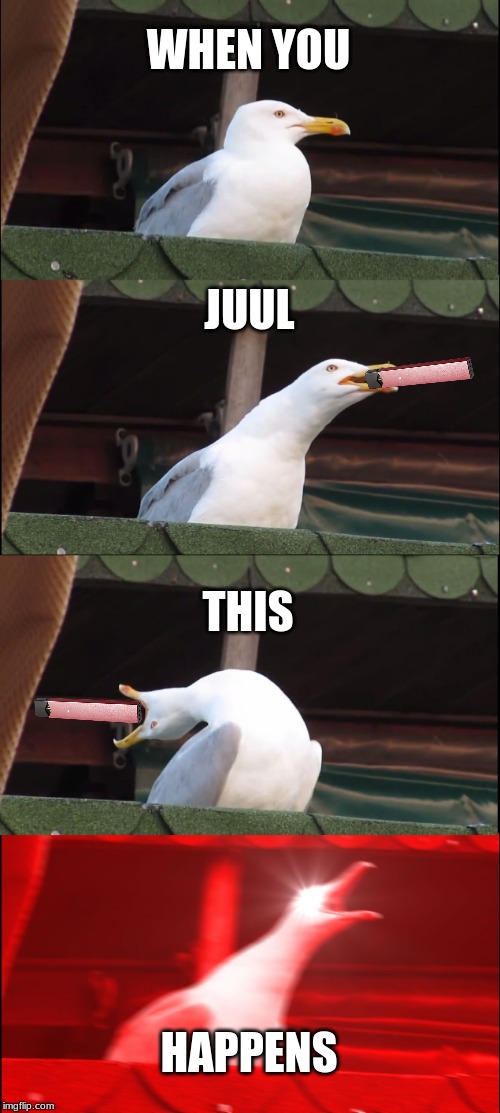 Inhaling Seagull Meme | WHEN YOU; JUUL; THIS; HAPPENS | image tagged in memes,inhaling seagull | made w/ Imgflip meme maker