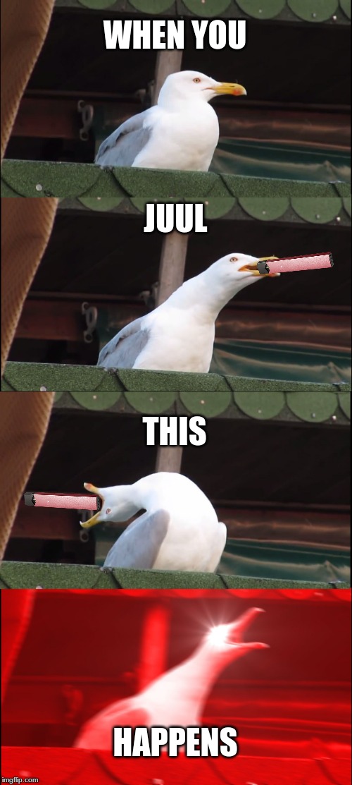 Inhaling Seagull | WHEN YOU; JUUL; THIS; HAPPENS | image tagged in memes,inhaling seagull | made w/ Imgflip meme maker